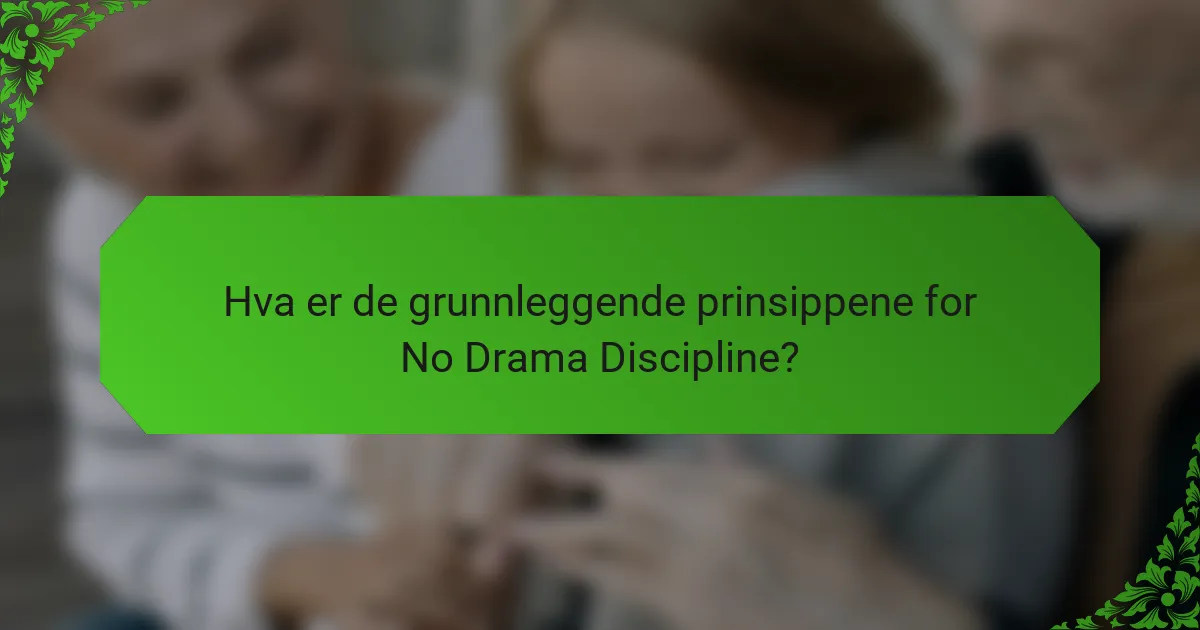 Hva er de grunnleggende prinsippene for No Drama Discipline?