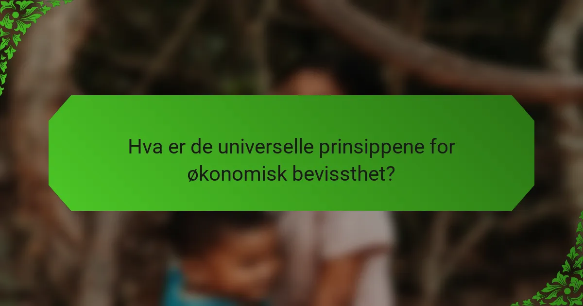 Hva er de universelle prinsippene for økonomisk bevissthet?
