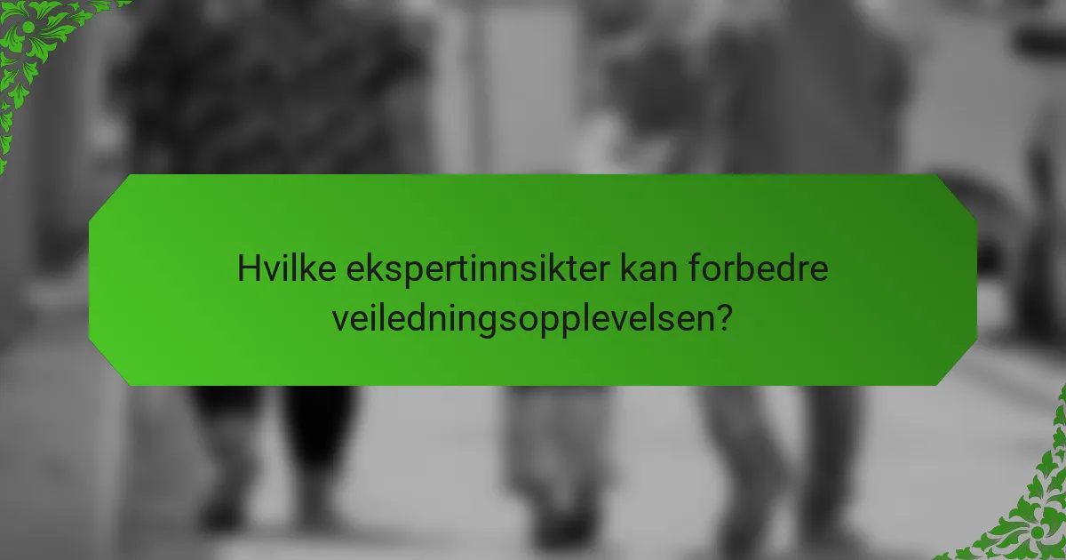 Hvilke ekspertinnsikter kan forbedre veiledningsopplevelsen?